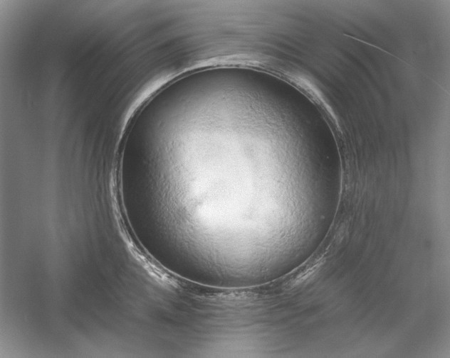 X0000059780952200510211047