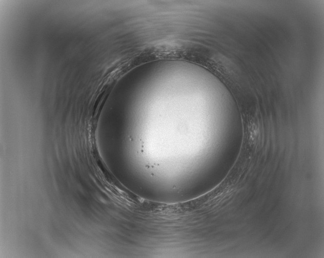 X0000059780964200510211046