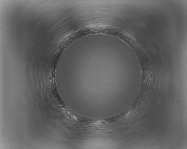 X0000059780966200510211046