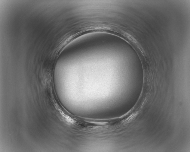 X0000059780985200510211046