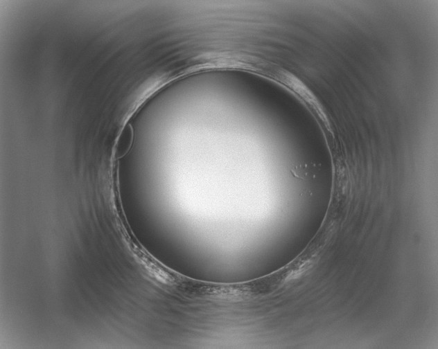 X0000059781002200510211046