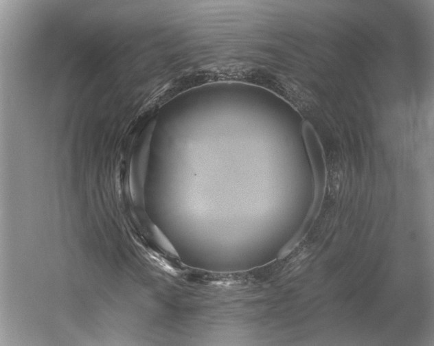 X0000059781010200510211045