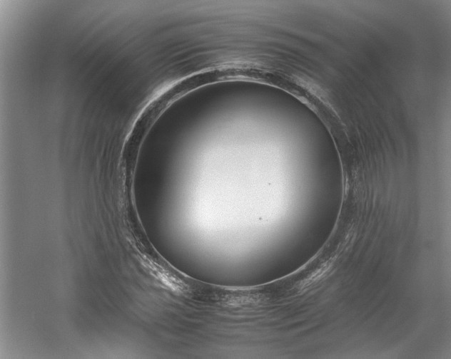 X0000059781021200510211045