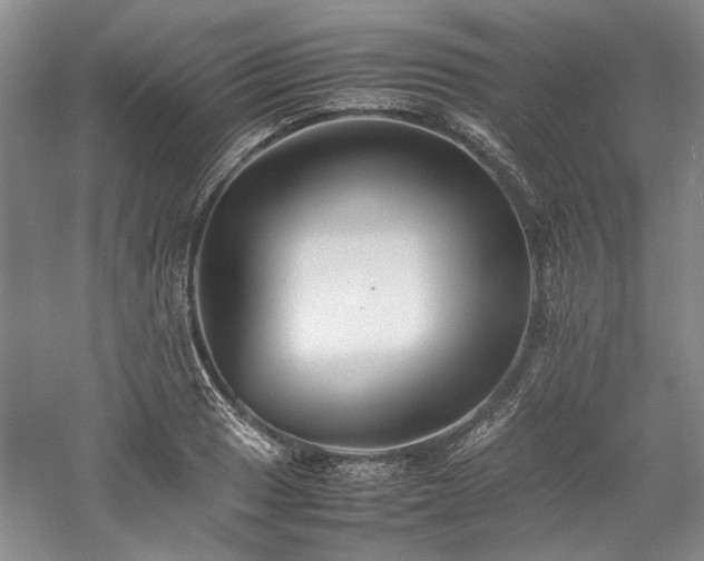 X0000059781033200510211045