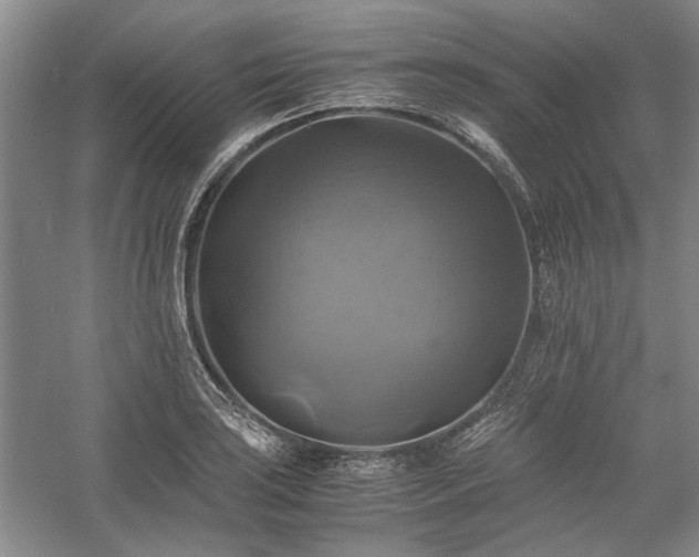 X0000059781035200510211045