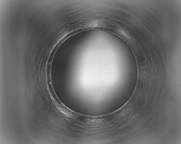 X0000059781039200510211045