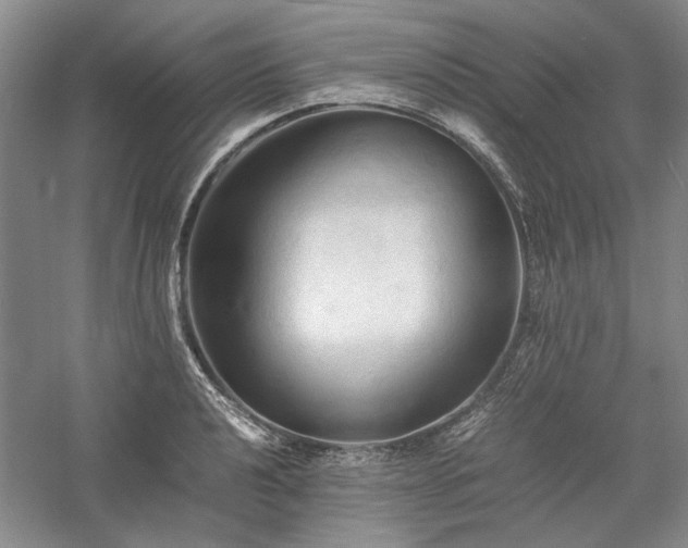 X0000059781040200510211045