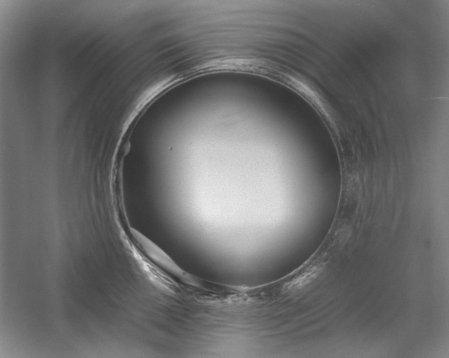 X0000059781050200510211046