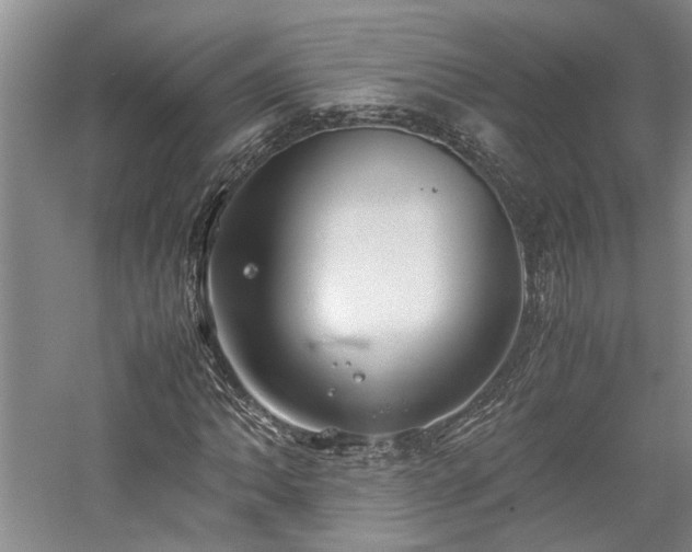 X0000059781062200510211045