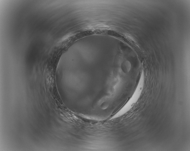 X0000059781063200510211045