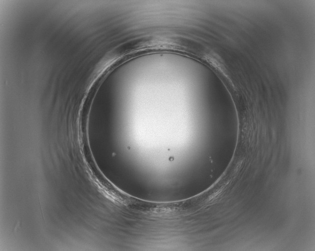 X0000059781082200510211044