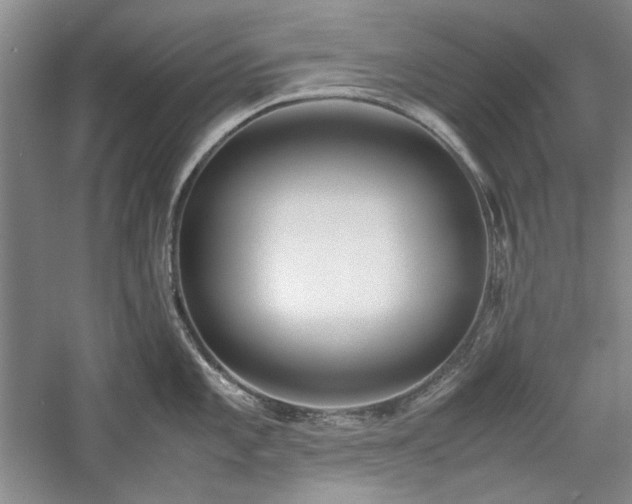 X0000059781101200510211044