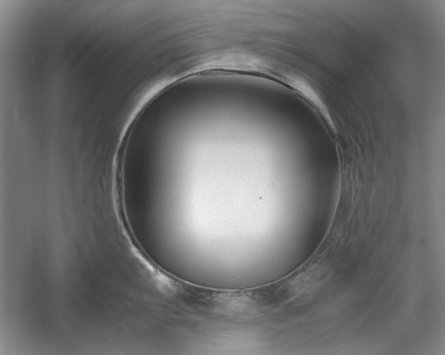 X0000059781103200510211044