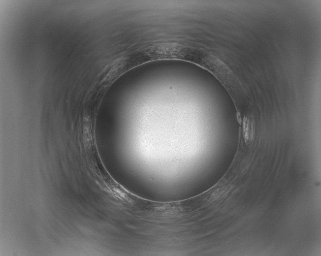 X0000059781107200510211043