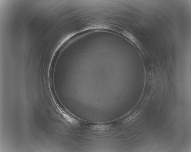 X0000059781127200510211044