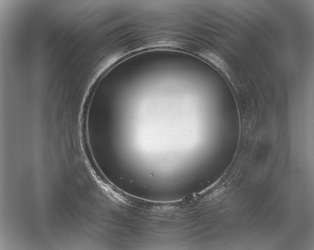 X0000059781135200510211044