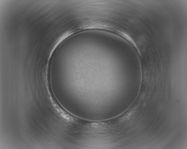 X0000059781138200510211044