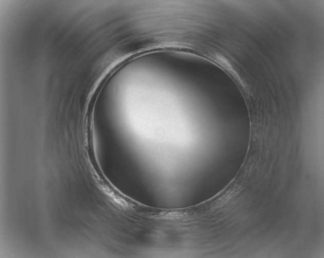 X0000059781140200510211044