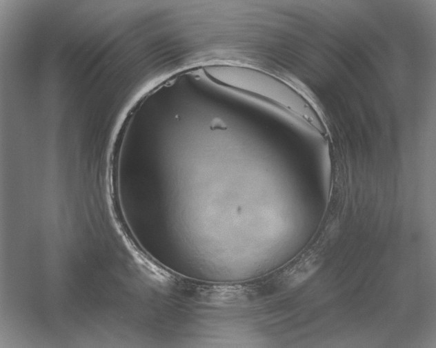 X0000059781144200510211044
