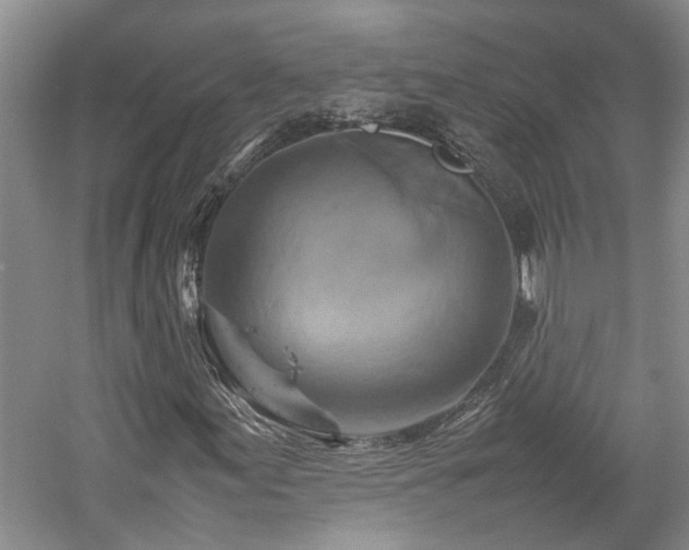 X0000059781155200510211043