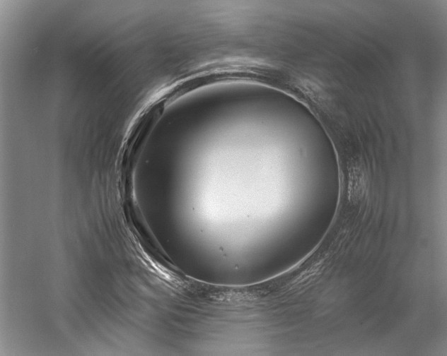 X0000059781164200510211043