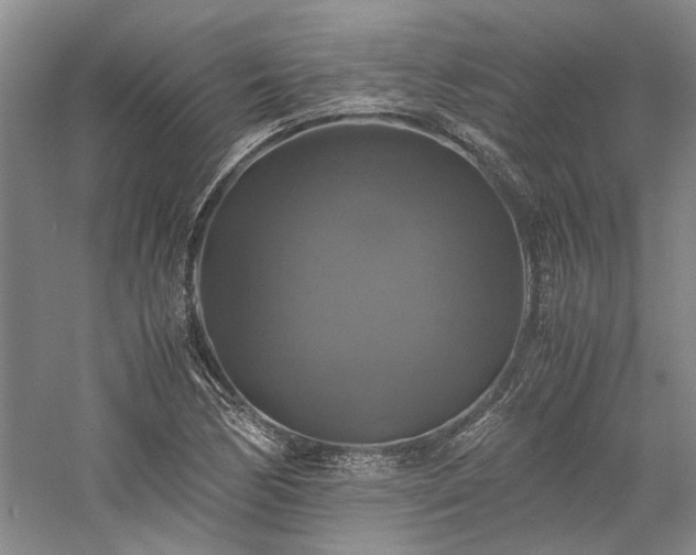 X0000059781170200510211043