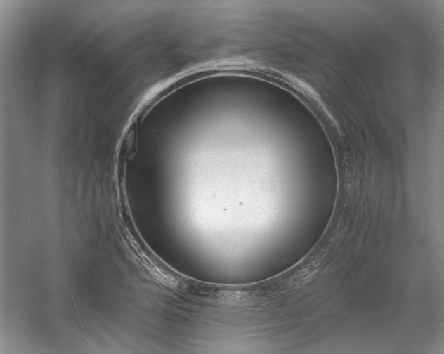 X0000059781176200510211043