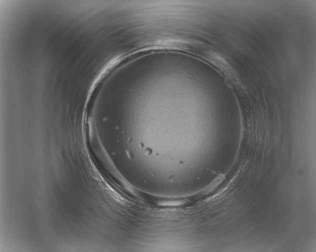 X0000059781180200510211043