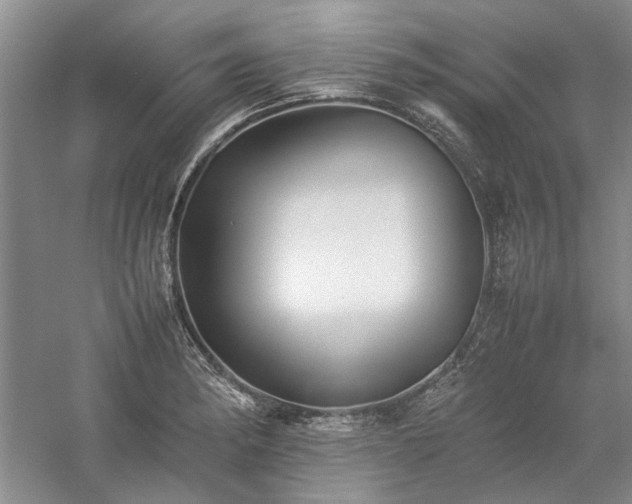 X0000059781182200510211043