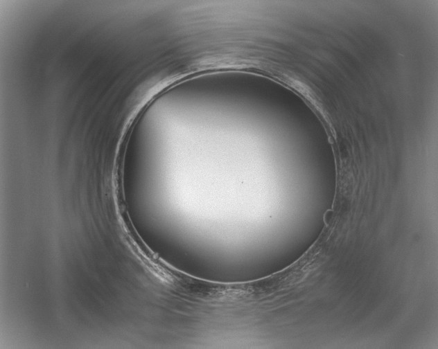 X0000059781187200510211043