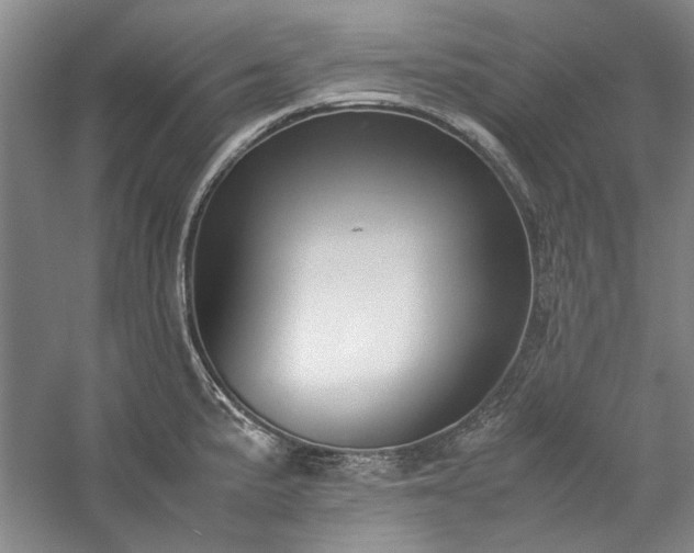 X0000059781191200510211043