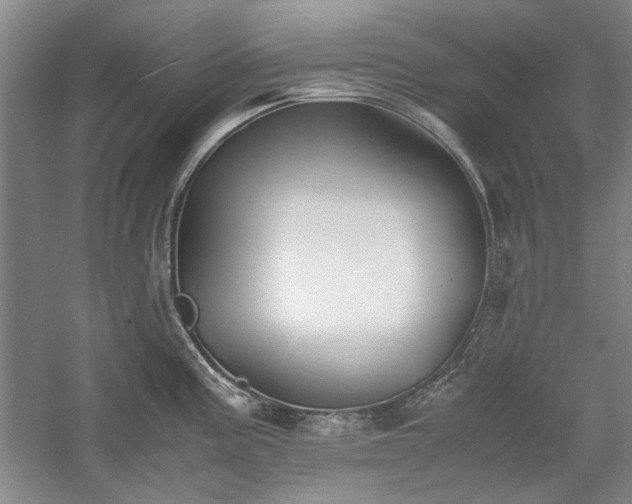 X0000059781195200510211043