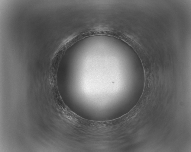X0000059781207200510211042