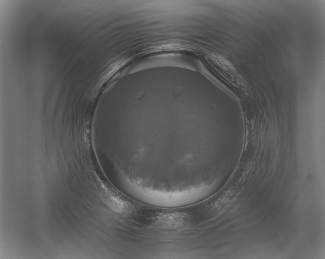 X0000059781225200510211042
