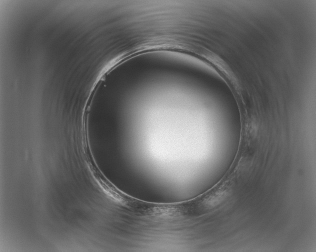 X0000059781242200510211042