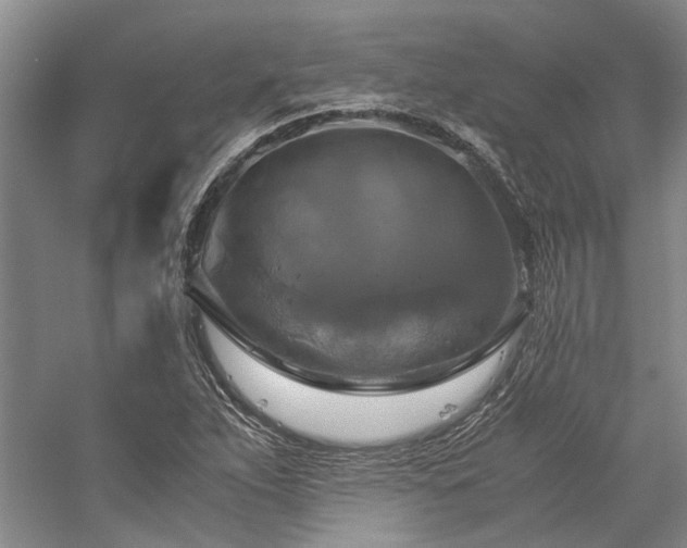 X0000059781263200510211041