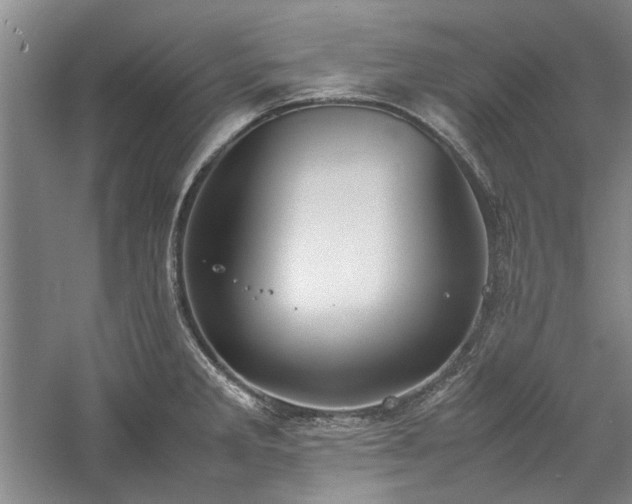 X0000059781285200510211041