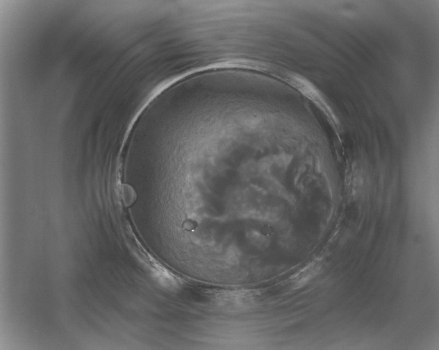 X0000059781292200510211041
