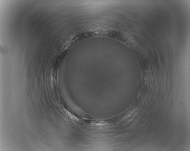 X0000059781298200510211040