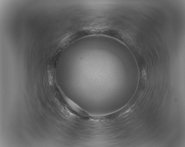 X0000059781300200510211040