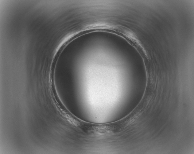 X0000059781328200510211041