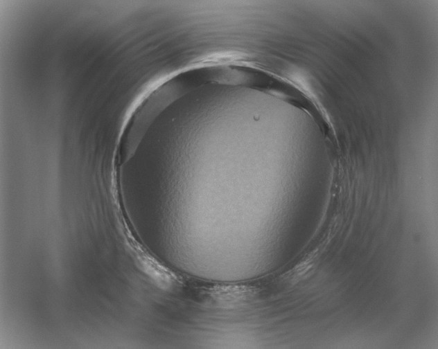 X0000059781336200510211041