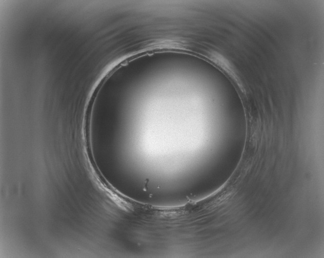 X0000059781339200510211041