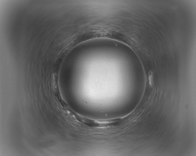X0000059781347200510211040
