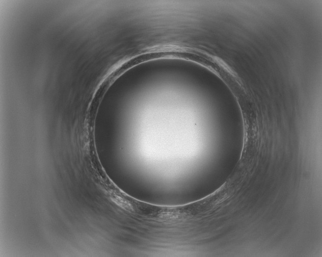 X0000059781364200510211040