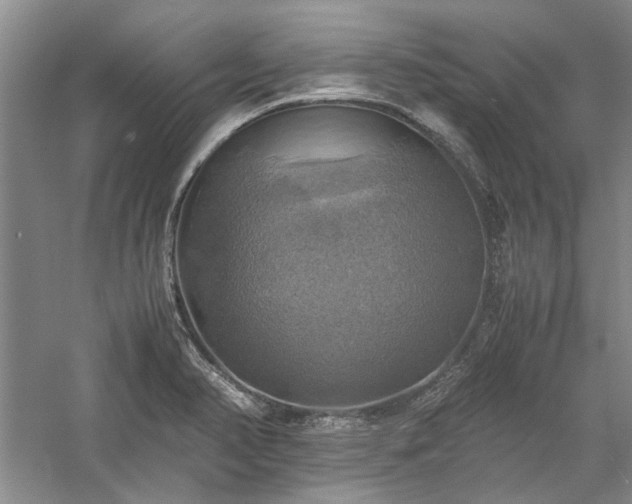 X0000059781374200510211040