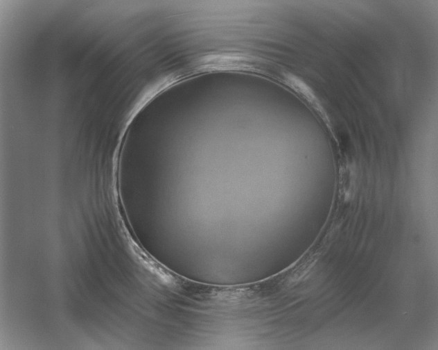 X0000059781386200510211039