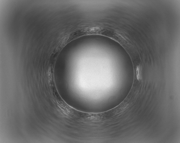 X0000059781395200510211038