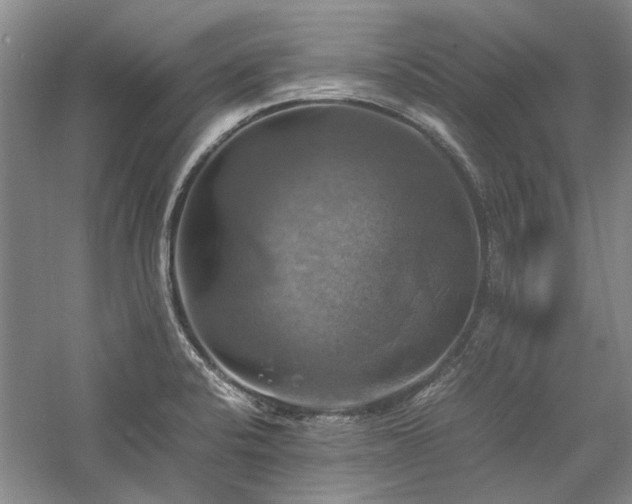 X0000059781424200510211039