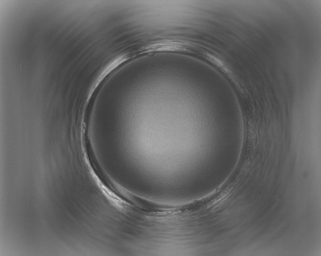 X0000059781426200510211039